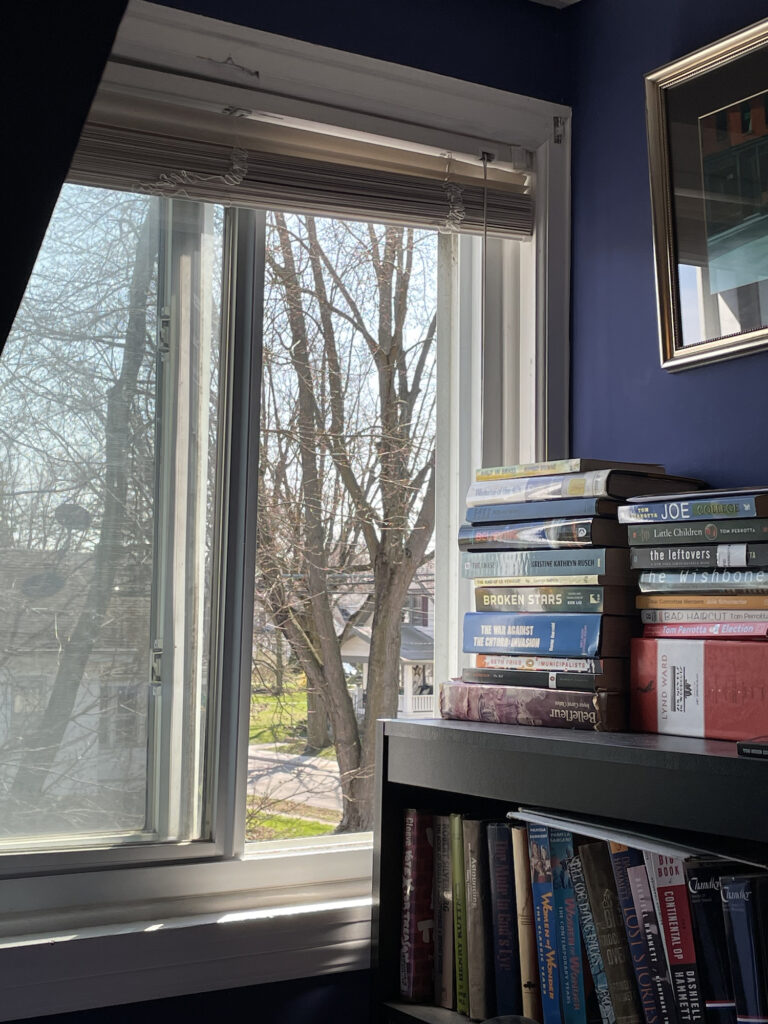 in the foreground: a bookcase stacked with books; beyond it: an open window showing trees, blue sky, a street