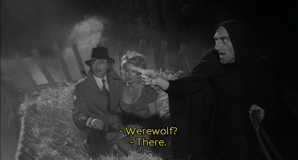 still from YOUNG FRANKENSTEIN

Frederick asks, "Werewolf?" Igor answers, "There."