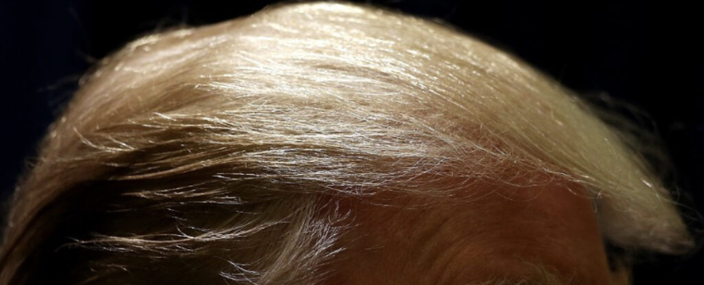 detail of a photo displaying Donald Trump's weird combover