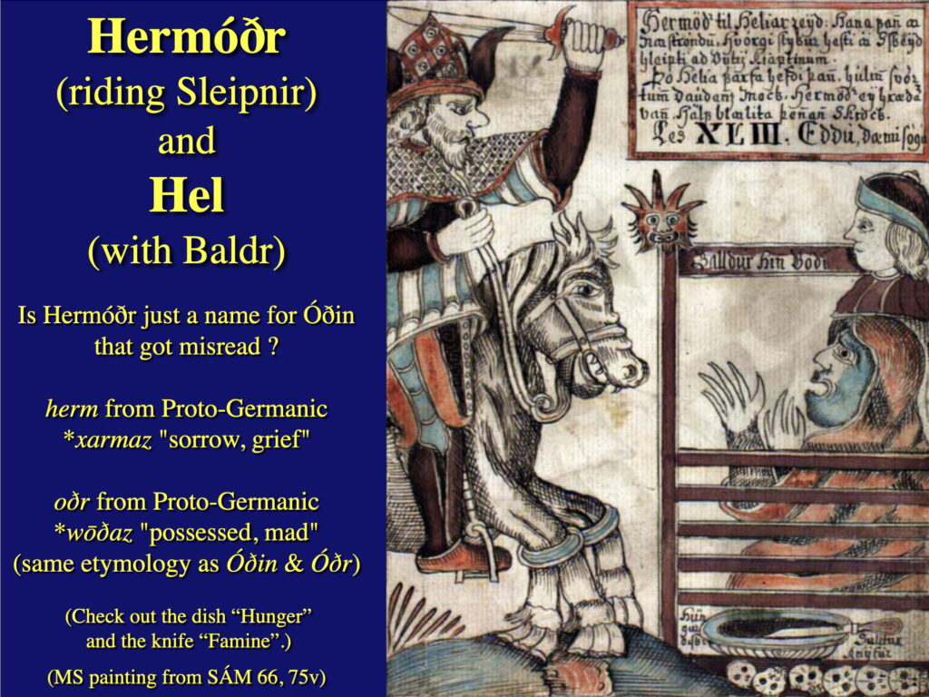 A slide from my Norse myth class.

Image is Hermóðr on Sleipnir waving a sword outside an inclosure containing Hel and Baldr.

Text reads: Hermóðr (riding Sleipnir) and Hel (with Baldr)

Is Hermóðr just a name for Óðin that got misread ?

herm from Proto-Germanic *xarmaz "sorrow, grief"

oðr from Proto-Germanic 
*wōðaz "possessed, mad"
(same etymology as Óðin & Óðr)

(Check out the dish “Hunger” 
and the knife “Famine”.)

(MS painting from SÁM 66, 75v)